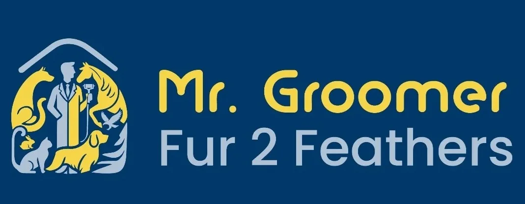 Mr Groomer